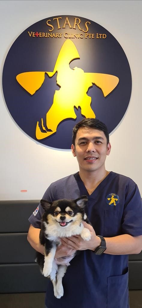 Our Team - Stars Veterinary Clinic